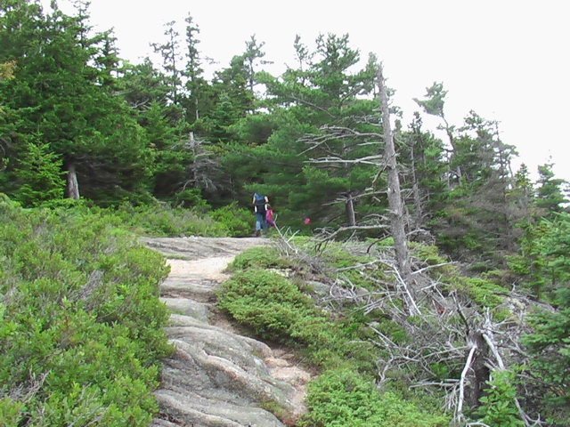 IMGA0095.JPG
